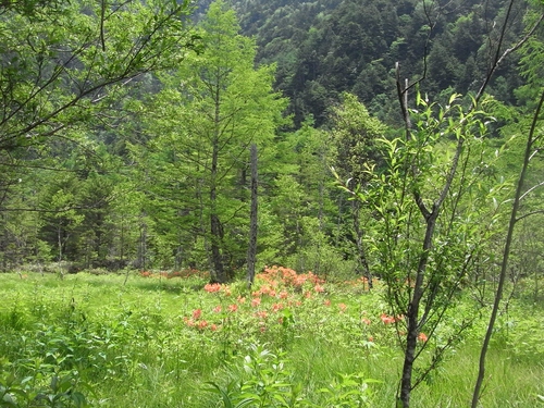 b0138798_16541155.jpg