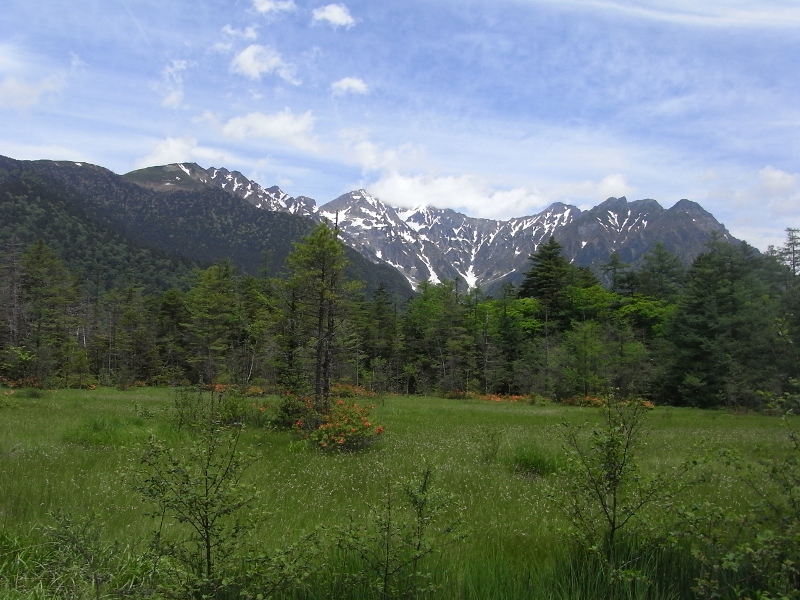 b0138798_16594074.jpg