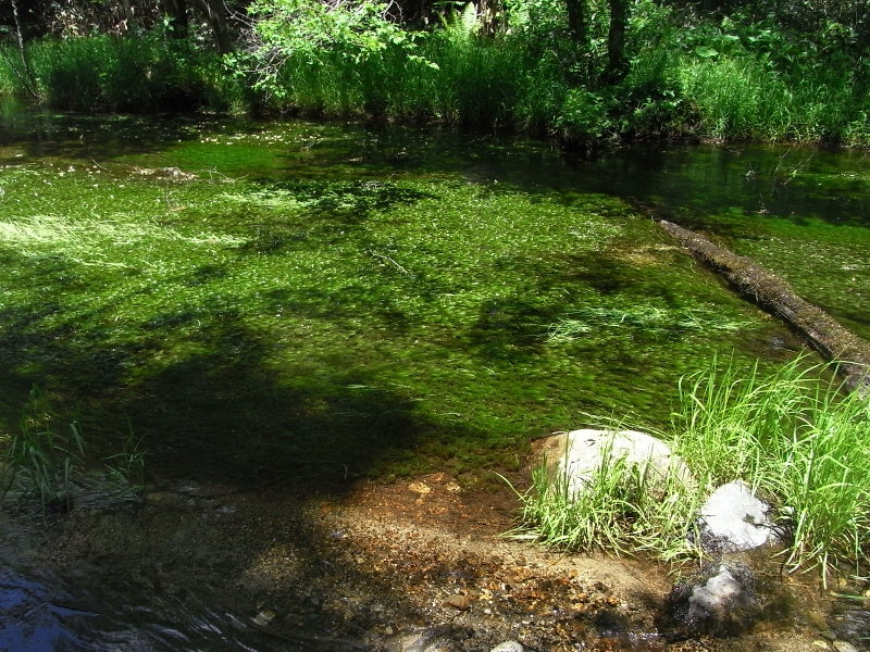 b0138798_179616.jpg