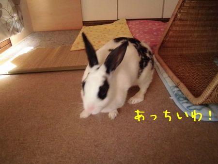 c0235399_1513118.jpg
