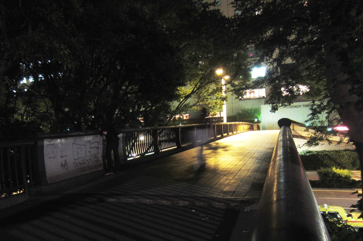 新宿中央公園 夜 Slowhand 写真館