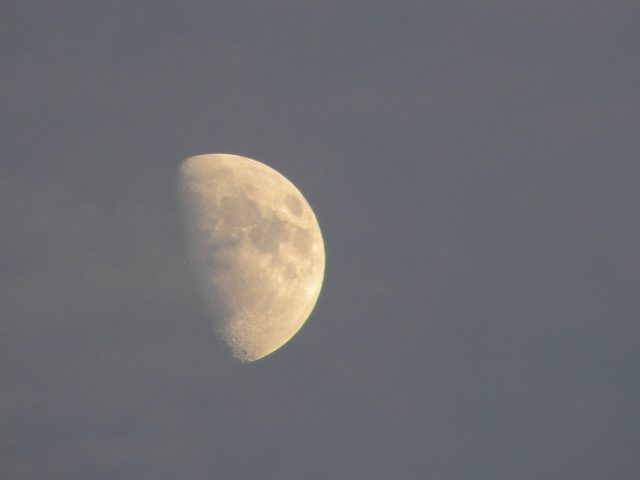 b0147203_2135228.jpg