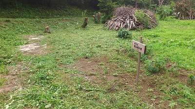 e0270403_23315641.jpg