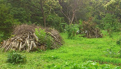 e0270403_23375155.jpg