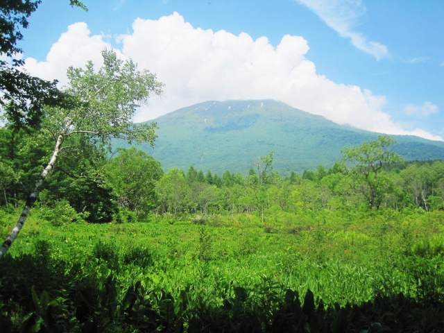 b0163804_18151794.jpg