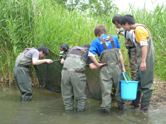第4回城北ワンド・イタセンパラ再生活動のご報告_a0263106_13393573.jpg