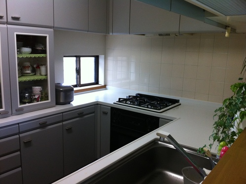 e0110119_15741.jpg