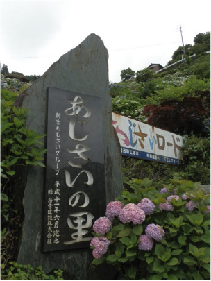 散歩部活動報告 「紫陽花のある風景　２０１２」_e0142619_2272912.jpg