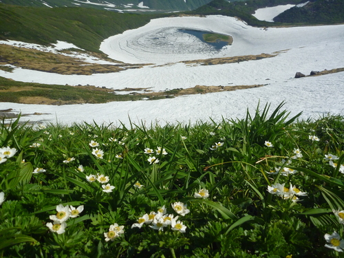 f0028123_6231572.jpg