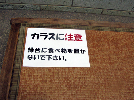 照る照る坊主!_f0129726_239264.jpg