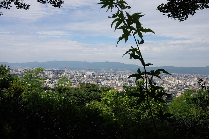 清水寺 千日詣り －爽朝編（後編）－_b0169330_8105655.jpg