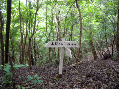 e0272335_2044041.jpg
