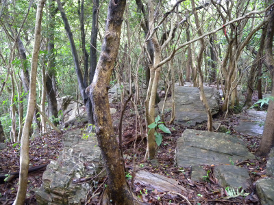 e0272335_207066.jpg