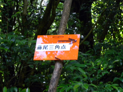 e0272335_211550.jpg