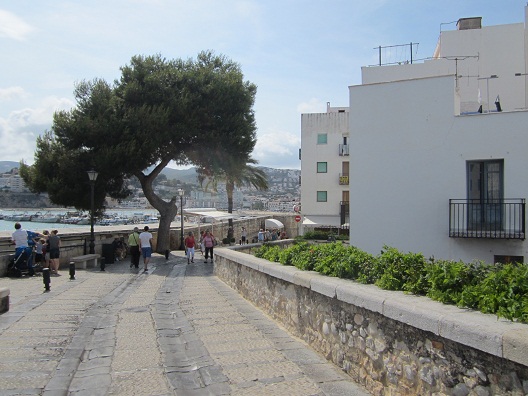 e0120938_834963.jpg