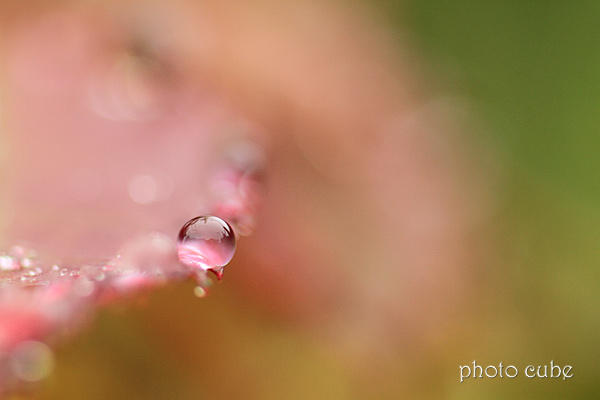 雨の日を楽しく　scene2_b0195043_1385149.jpg