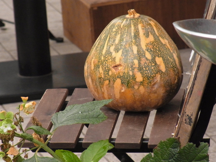 吉祥寺のカフェ Bakery Cafe Restaurant Musui ムスイ カフェと 北欧食器と 街と 緑と 海と 吉祥寺のカフェ Bakery Cafe Restaurant Musui ムスイ カフェと 北欧食器と 街と 緑と 海と