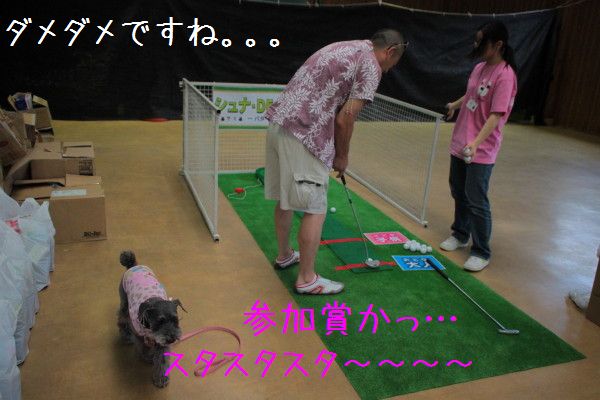 シュナフェス　2012。　午後の部。_e0119258_944471.jpg