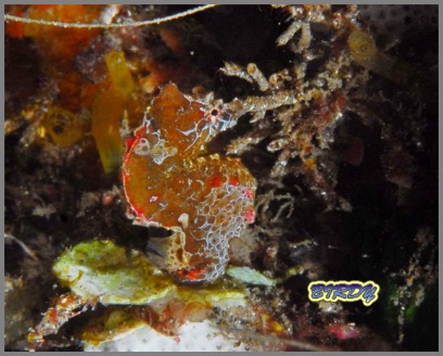2時間DIVE_e0273365_1911712.jpg