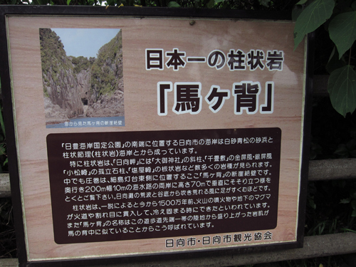 b0038366_1052377.jpg
