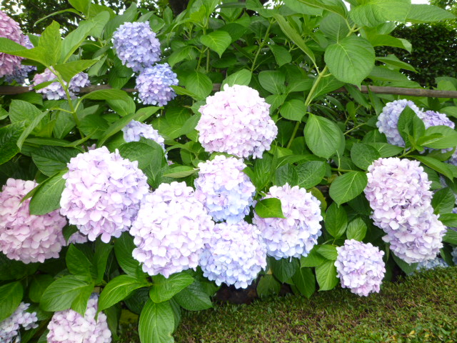f0200477_0153886.jpg