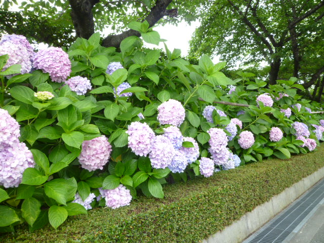 f0200477_092518.jpg