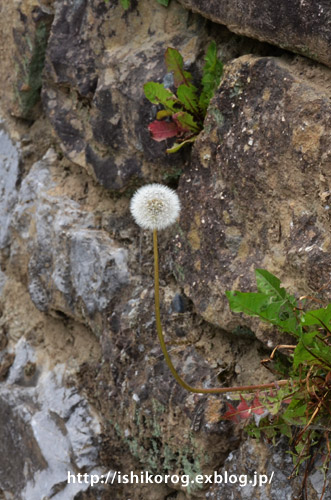 a0223379_2332020.jpg