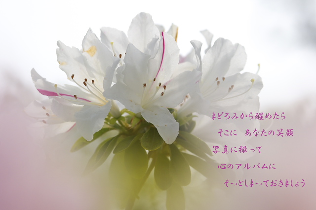 c0181187_22514741.jpg
