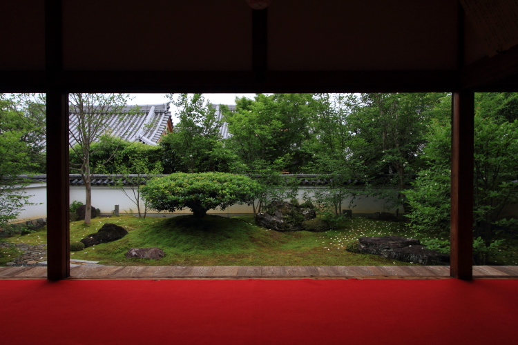 東林院（妙心寺塔頭）_e0051888_2262561.jpg