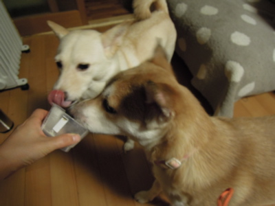 マジやばぃ_f0232994_3523868.jpg