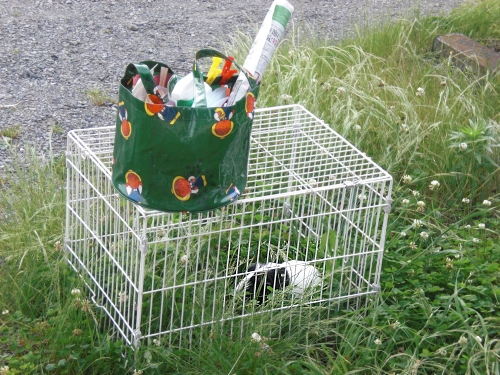 c0241498_226182.jpg