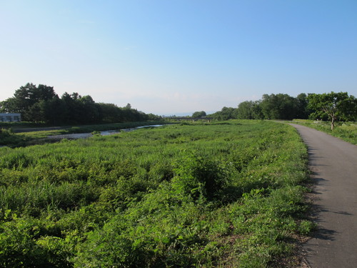 松川堤防からの景色（１）_c0075701_19451727.jpg