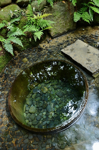 明治神宮の花菖蒲 雲母 ｋｉｒａ の舟に乗って