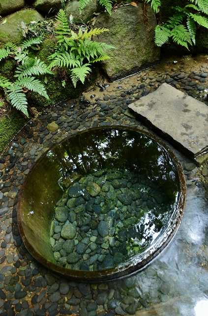 明治神宮の花菖蒲 雲母 ｋｉｒａ の舟に乗って