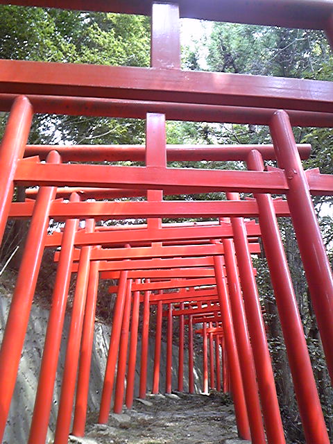 おさんぽ_e0197602_20404626.jpg