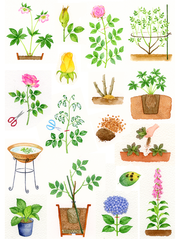 まめ絵　川副まゆみ 川副 真佑実（作品一覧・著者プロフィール） | 絵本ナビ：レビュー・通販