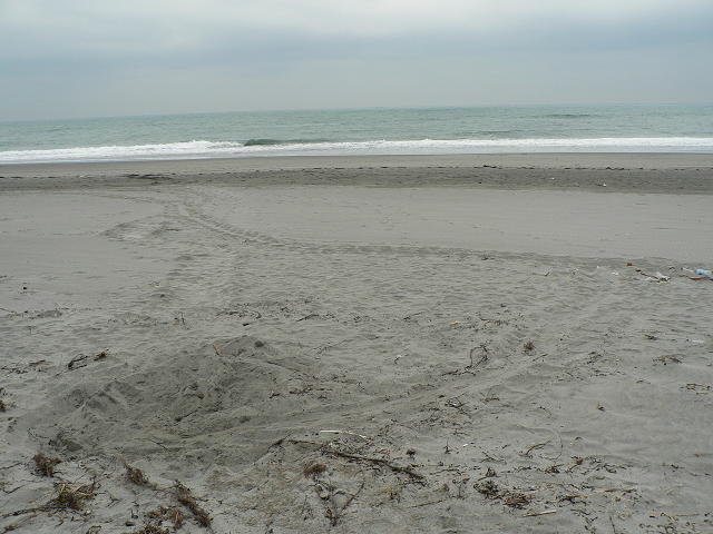 e0239907_11464611.jpg