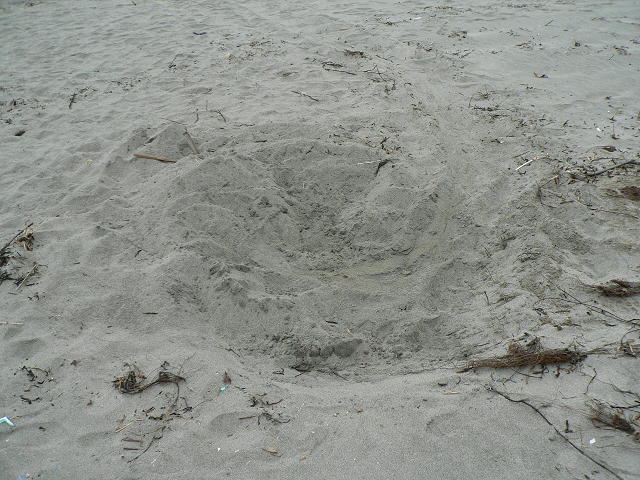 e0239907_11465421.jpg