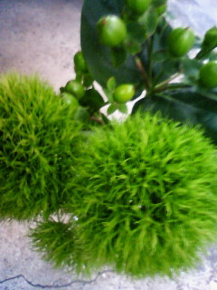 a0228408_1830129.jpg