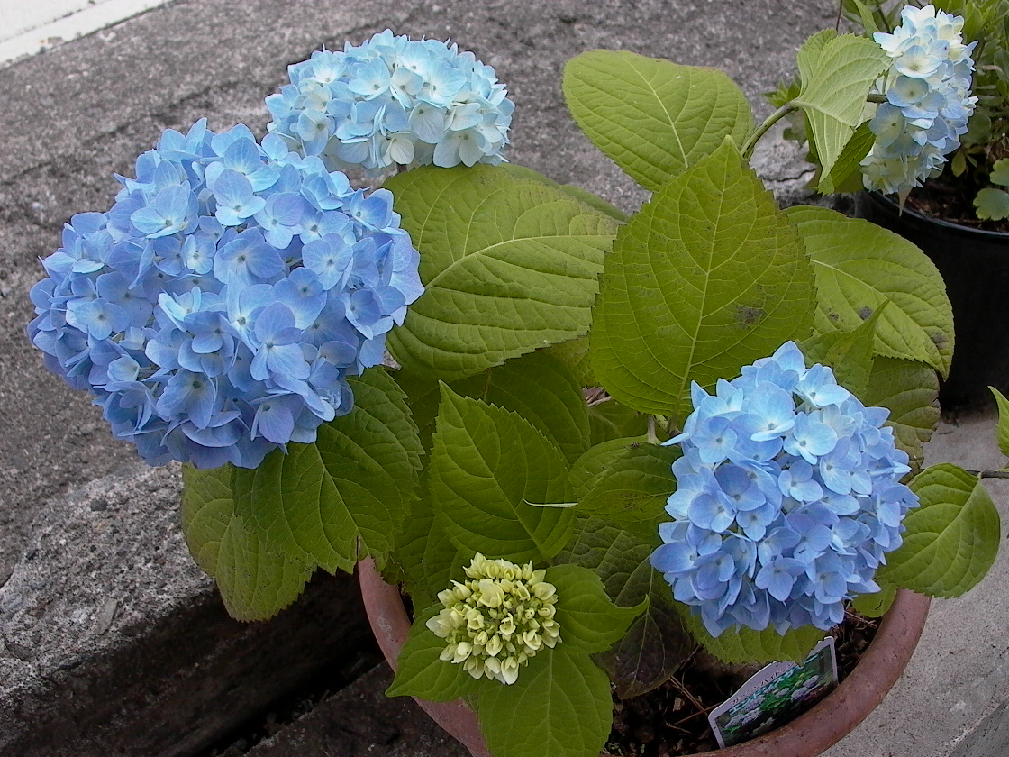 a0150213_06030.jpg