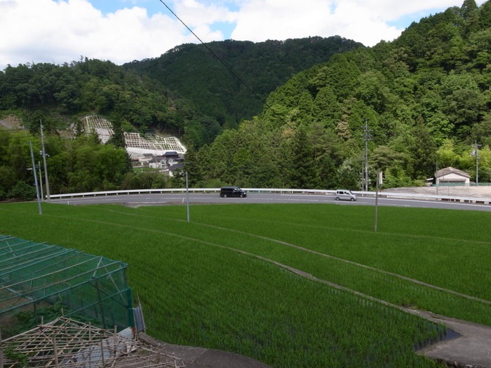 曇りのち晴れ_c0116915_0595286.jpg