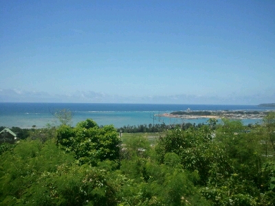 d0258215_954350.jpg