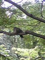 京都府立植物園_b0212316_1818716.jpg