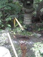 京都府立植物園_b0212316_18283760.jpg