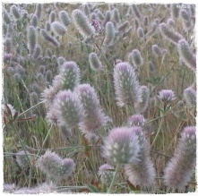 e0245020_80257.jpg
