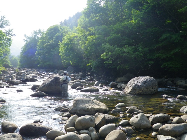 d0269923_20235339.jpg