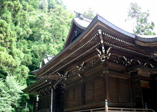 紫陽花、紫陽花、、、御霊神社にて_e0021129_1449379.jpg