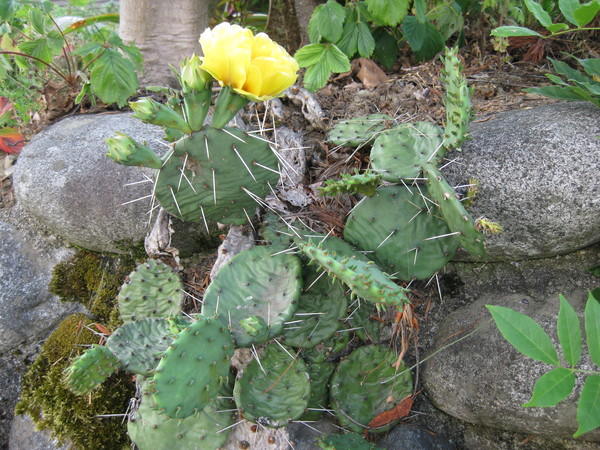a0158236_1671770.jpg