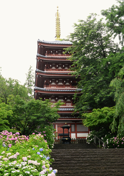 b0213639_16394831.jpg