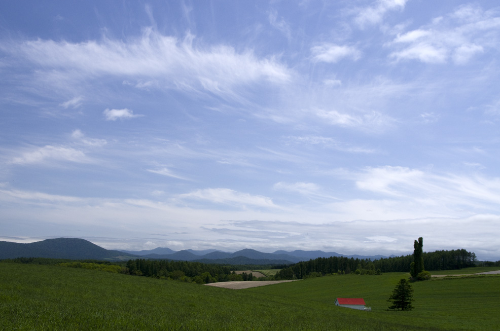 あばれ雲と赤い屋根_f0152939_20533552.jpg